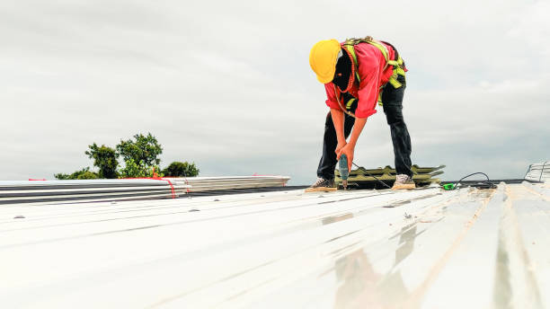 Best Steel Roofing  in Crandon, WI